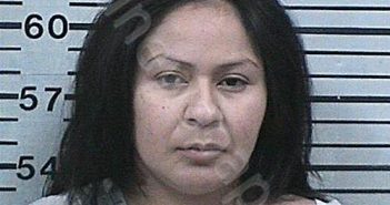 GUEVARA, RUBI | 2025-03-17 14:49:17 Hood County, Texas Booking