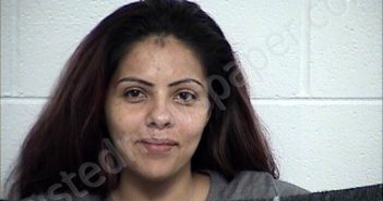 OCHOA DELGADO, CECILIA ALEJANDRA | 2025-03-17 Chase County, Kansas Booking