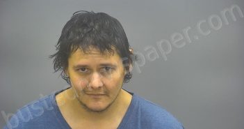 CHEVEZ, MICHAEL ANTHONY | 2025-03-17 22:53:00 Isabella County, Michigan Booking