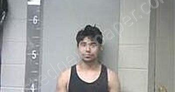 ACEVEDO, CESAR | 2025-03-17 06:17:00 Marshall County, Alabama Booking