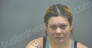 HILDEN, BRIANNA LAVON | 2025-03-17 19:21:00 Isabella County, Michigan Booking