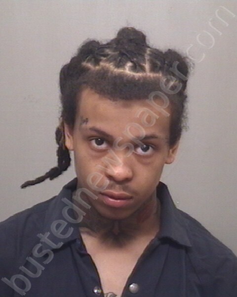 MUSE, SYNCERE DEJON #, Forsyth County, North Carolina - 2025-03-18