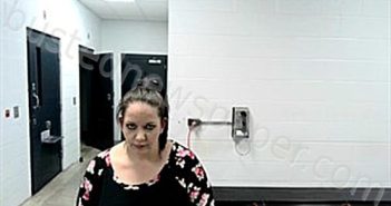 MONTGOMERY, HALEY LYNN | 2025-03-18 14:15:00 Fulton County, Arkansas Booking