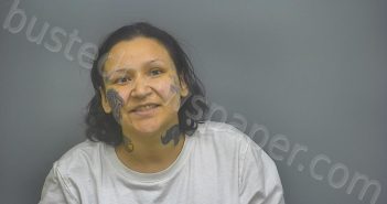 ROMERO, SONYA PATRICIA | 2025-03-18 04:03:00 Isabella County, Michigan Booking