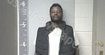 MINSON, TYREK | 2025-03-18 17:04:00 Marshall County, Alabama Booking