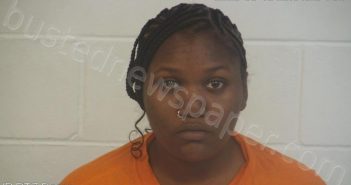 <B>JOHNSON</B>, <B>CHASITY</B> #, Marion County, Mississippi - 2025-03-18 11:01:23