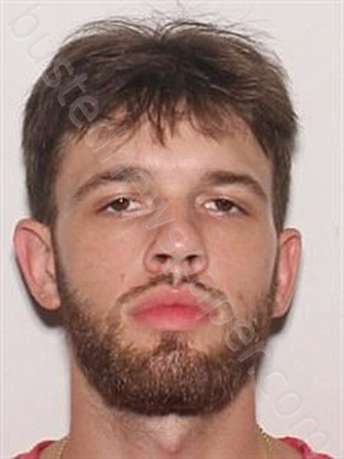 POYNOR, BRIAN ANDREW #, Fulton County, Arkansas - 2025-03-18 18:52:00