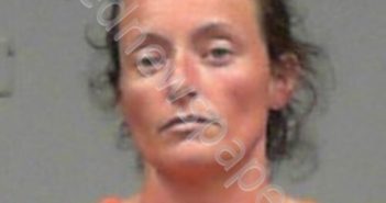 SMITH, BRANDI JEANETTE | 2025-03-18 22:50:00 Harrison County, West Virginia Booking