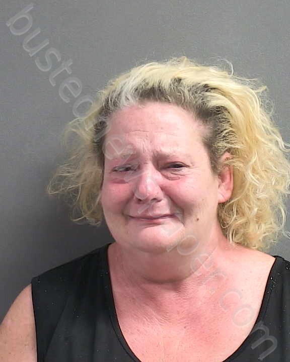 ERWIN, MICHELLE R #, Volusia County, Florida - 2025-03-19 10:46:00