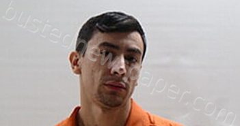 LOPEZ ALDO | 2025-03-19 Cameron County, Texas Booking