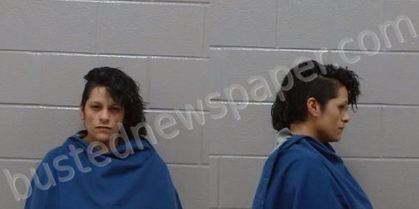 FLORES, ERICA #, Wichita County, Texas - 2025-03-19