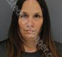 TOMES, LISA MARIE | 2025-03-19 Medina County, Ohio Booking