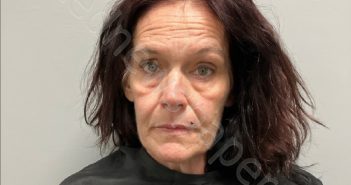 APRIL LACY GOAD | 2025-03-19 Henry County, Virginia Booking