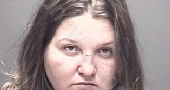 WEAVER, LOIS IRENE | 2025-03-19 01:00:00 Galveston County, Texas Booking