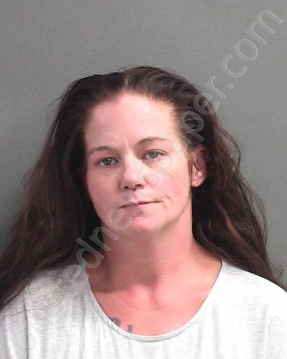 THIES, HOPE W #, Volusia County, Florida - 2025-03-20 01:34:00