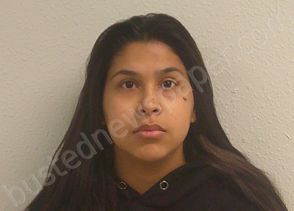 HERNANDEZ, SHAUDAE LORRAINE #, Burnet County, Texas - 2025-03-20