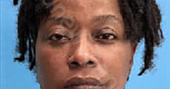 <B>BLANDING</B>, <B>MICHELLE</B> <B>DENISE</B> #, Desoto County, Florida - 2025-03-20 06:53:00