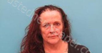 SHERI WOOD | 2025-03-20 21:17:00 Kendall County, Texas Booking