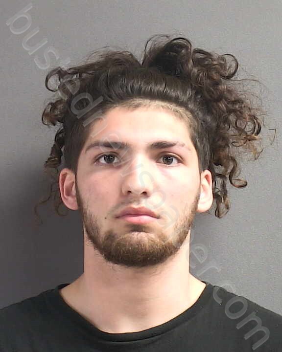 WERKING, TROY ALLAN #, Volusia County, Florida - 2025-03-20 04:03:00