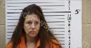 CARON, MICHELLE L | 2025-03-21 00:21:00 Cherokee County, North Carolina Booking