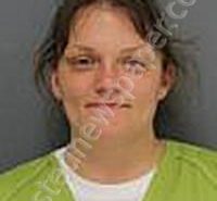 LEIGHTY, BRITTNEY ANN | 2025-03-21 Medina County, Ohio Booking