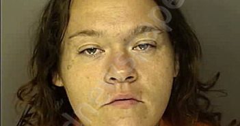 <B>MAPLES</B>, <B>MERANDA</B> <B>GRAY</B> #, Horry County, South Carolina - 2025-03-23 19:01:00