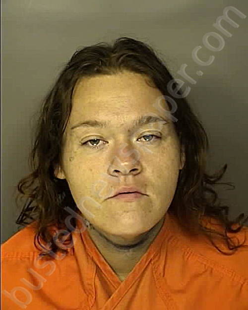 MAPLES, MERANDA GRAY #, Horry County, South Carolina - 2025-03-23 19:01:00