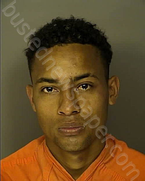 BARDALES RIVERA, MELKI SEDEC #, Horry County, South Carolina - 2025-03-23 19:10:00