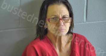 DOWELL, MICHELLE ANGELIC | 2025-03-24 20:19:20 Levy County, Florida Booking