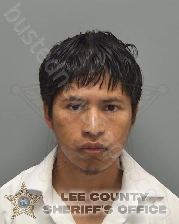 SANCHEZ LOPEZ, MARVIN MARROQUIN #, Lee County, Florida - 2025-03-24 16:39:00