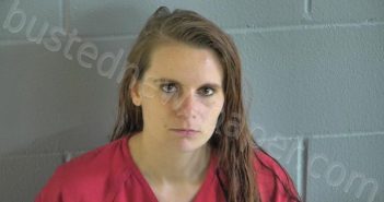 HARRELL, ABBY CAROLINE | 2025-03-24 13:43:04 Levy County, Florida Booking