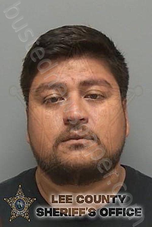 PEREZ PELAYO, RODOLFO GIOVANNI #, Lee County, Florida - 2025-03-24 15:42:56
