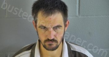 LEGGETT, JUSTIN BRYCE | 2025-03-24 11:19:23 Levy County, Florida Booking