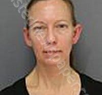 HUZYAK, DOREEN ANN | 2025-03-25 Medina County, Ohio Booking
