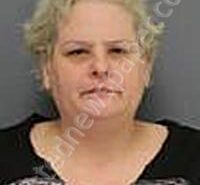 ROSE, GINGER MARIE | 2025-03-25 Medina County, Ohio Booking