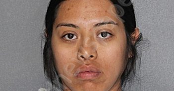 MARTINEZ-<B>GONZALEZ</B>, <B>ANA</B> KAREN #, Ellis County, Texas - 2025-03-25 17:10:19