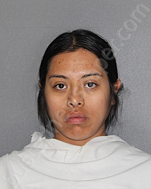 MARTINEZ-GONZALEZ, ANA KAREN #, Ellis County, Texas - 2025-03-25 17:10:19