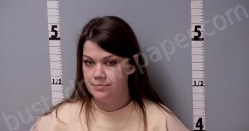 STEELE, STEPHANIE RENAE | 2025-03-26 23:39:00 Gratiot County, Michigan Booking