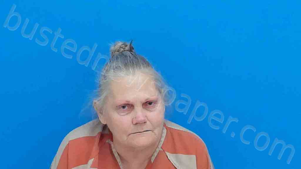 AUSTIN, KIMBERLY ANNE #, Catawba County, North Carolina - 2025-03-26