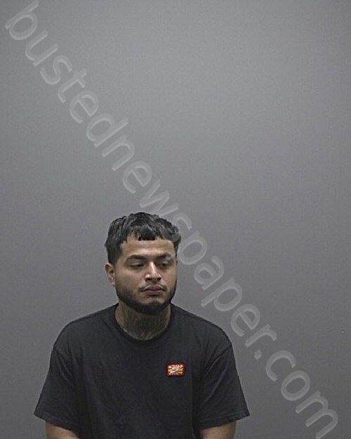 FERNANDEZ-LARA, HEBER JOSUE #, Alamance County, North Carolina - 2025-03-26 20:20:00