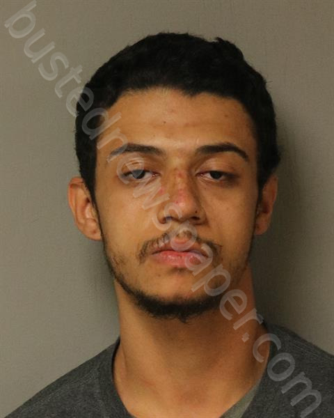 WHITED, IAN DRAKE #, New River Valley Regional Jail, Virginia - 2025-03-26