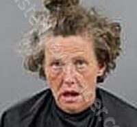 <B>BROCK</B>, <B>CELENA</B> <B>JANEL</B> #, Anderson County, South Carolina - 2025-03-26
