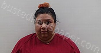 MONTES SONIA SELENE | 2025-03-27 Cameron County, Texas Booking