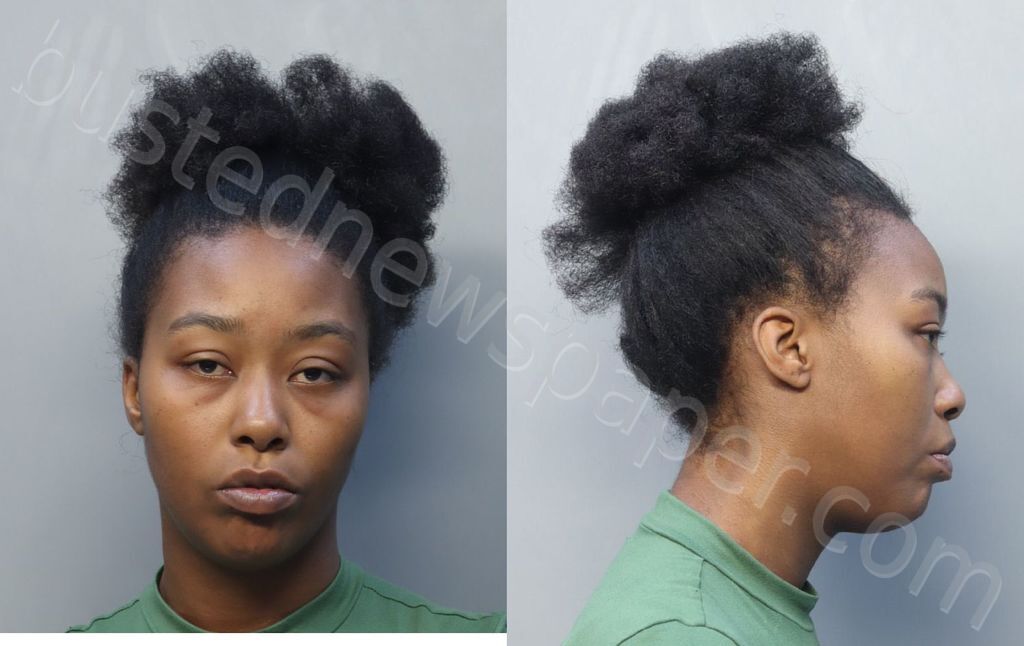 CANNON, DENNESHA LASHA #, Miami-Dade County, Florida - 2025-03-27 13:11:00