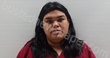 CASTILLO GISELA KRYSTAL | 2025-03-27 Cameron County, Texas Booking