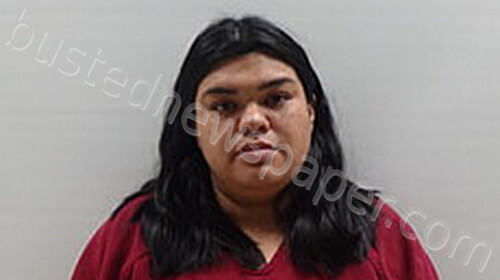 CASTILLO GISELA KRYSTAL #, Cameron County, Texas - 2025-03-27