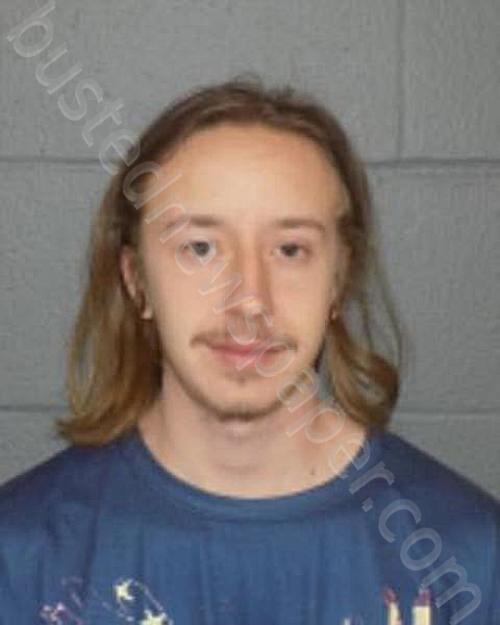 YOUNG, ALEX S #, Delaware County, New York - 2025-03-27 15:55:00