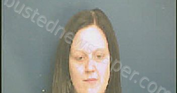NICOLE LYNN DAWKINS | 2025-03-27 11:42:00 Anson County, North Carolina Booking