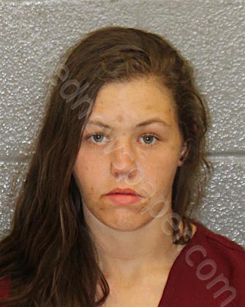 MATHIS, MYKALA SHAYNE #, Mecklenburg County, North Carolina - 2025-03-28 18:32:00