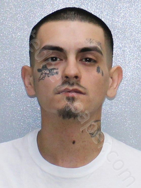 FLORES, LORENZO MANUEL #, Stephenson County, Illinois - 2025-03-28 01:00:00